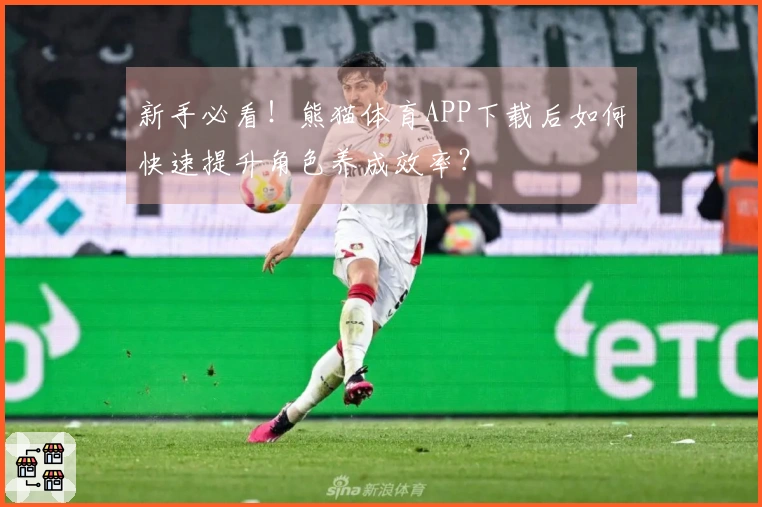 新手必看！熊猫体育APP下载后如何快速提升角色养成效率？